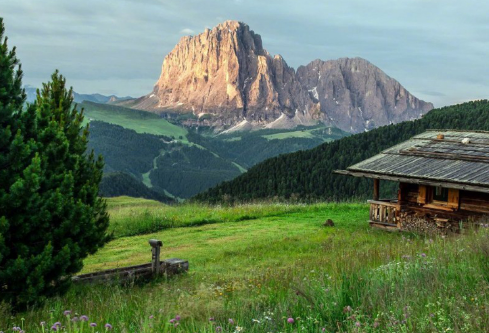 1687929615651642.png image.png