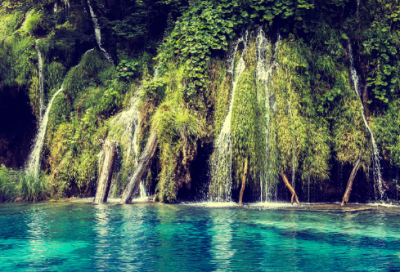 ​苏轼的一生简要概括（苏轼主要经历事迹）