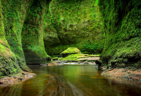 1687930281187088.png image.png