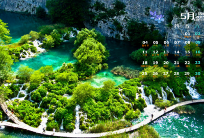 ​老人与海读后感500字（老人与海的感悟和启示）