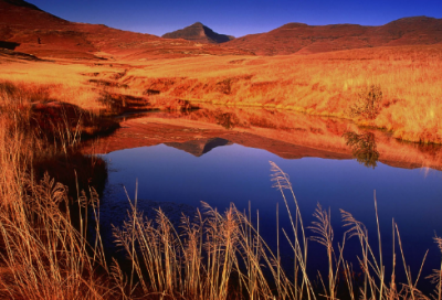 ​杜甫秋兴八首（秋兴八首全文赏析）