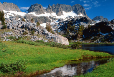 ​女生向前翻观后感（电影女生向前翻赏析）