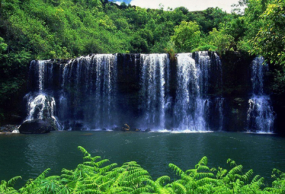 ​关于诚信的议论文（谈诚信800字议论文作文）