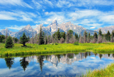 ​班主任工作心得简短（班主任工作心得体会感悟）