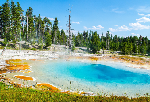 1687936603403655.png image.png