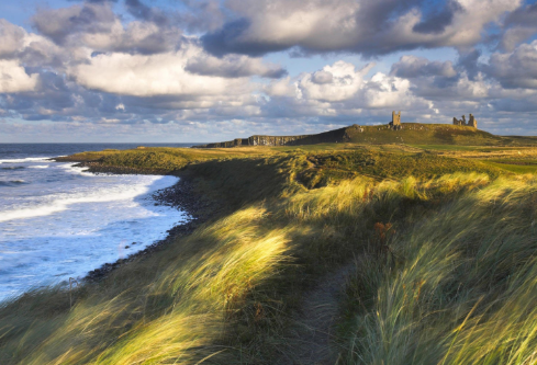 1687938931975565.png image.png