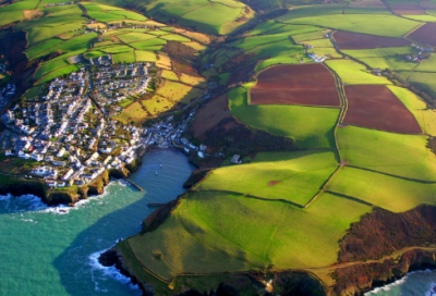 ​薛宝钗人物形象分析（分析薛宝钗的人物性格）
