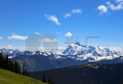 ​细节描写的片段怎么写（细节描写指导教程）