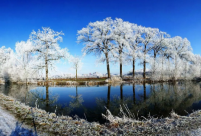 ​文言文廉颇蔺相如列传（廉颇蔺相如列传注释及解析）