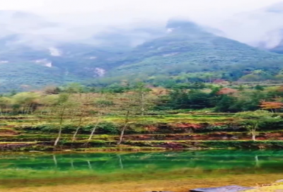 ​踏雪寻梅歌词完整版（踏雪寻梅歌词的意思和寓意）