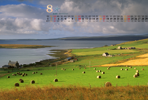 1687942592776799.png image.png