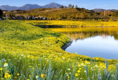 ​傅雷家书中心思想（傅雷家书感受与收获）