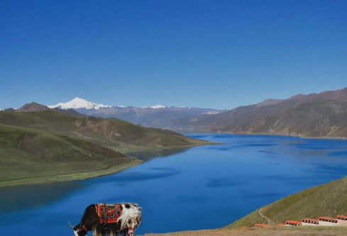 1687946592507759.png image.png