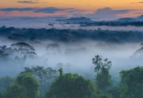 1687951251586744.png image.png