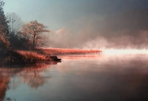 1687951418559325.png image.png