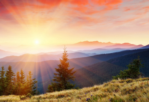 1687953248549170.png image.png