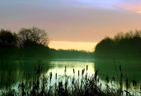 1687954080399374.png image.png