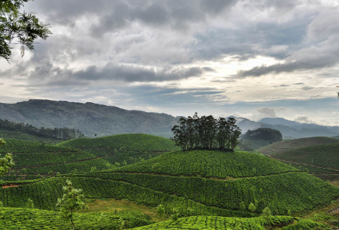 1687956410841537.png image.png