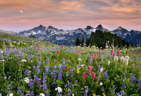 1687957242797496.png image.png