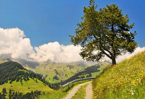 1687963068632573.png image.png