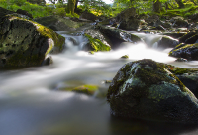 ​爱丽丝漫游奇境记主要内容（爱丽丝漫游奇境记是什么）