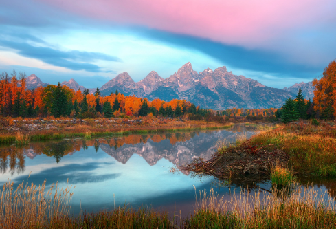 1688139069134309.png image.png