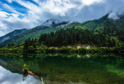 1688142570638636.png image.png