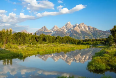 ​种树郭橐驼传（种树郭橐驼传原文及注释）