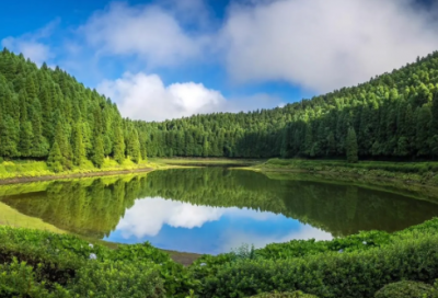 ​阿房宫赋教案板书设计（阿房宫赋教学设计一等奖）