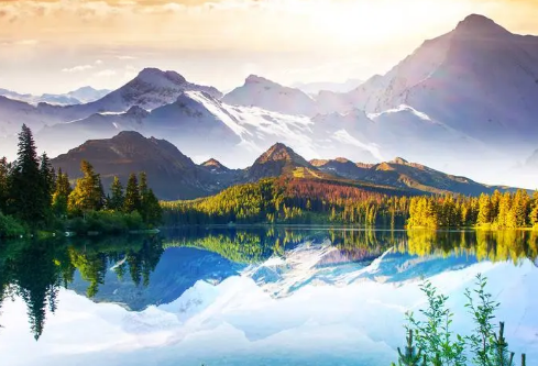 1688153234598186.png image.png