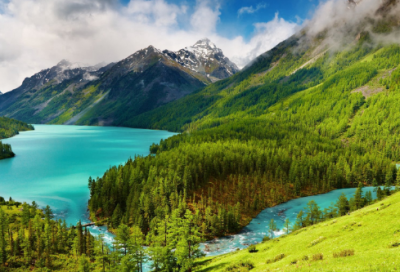 ​中考记叙文满分作文（优秀记叙文800字左右）