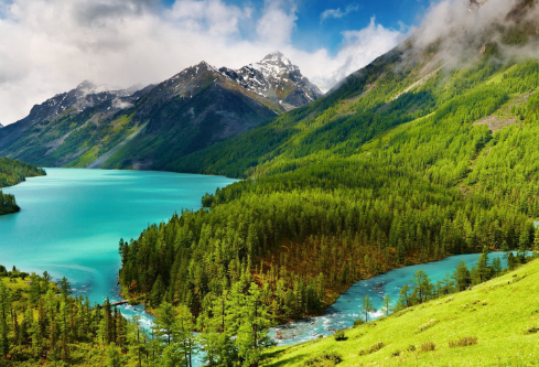 1688153734784455.png image.png