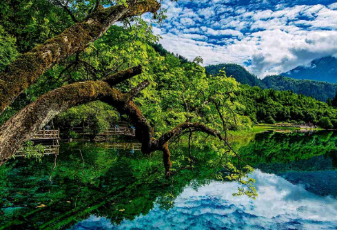 1688154401273240.png image.png