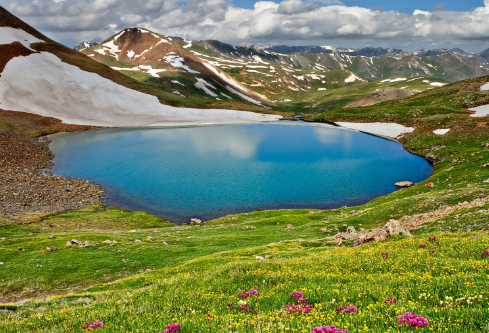 1688155234182739.png image.png