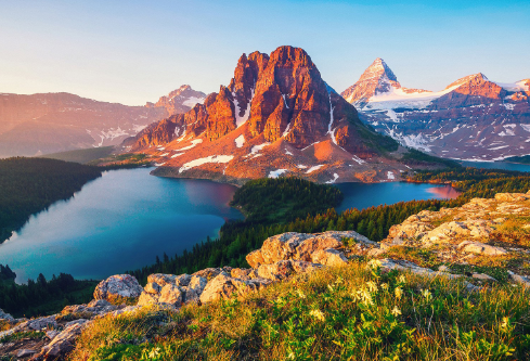 1688155400386350.png image.png