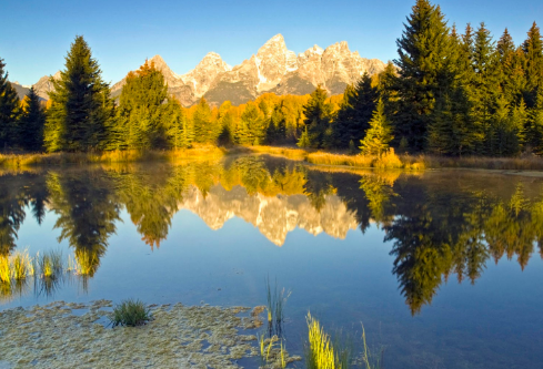 1688157901891738.png image.png