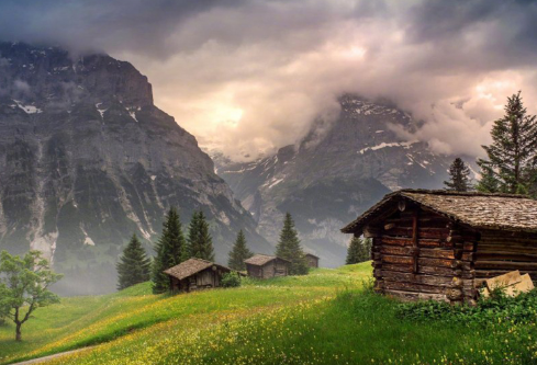 1688158401731975.png image.png