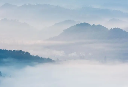 1688158567543283.png image.png