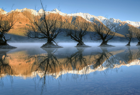 1688159900300713.png image.png