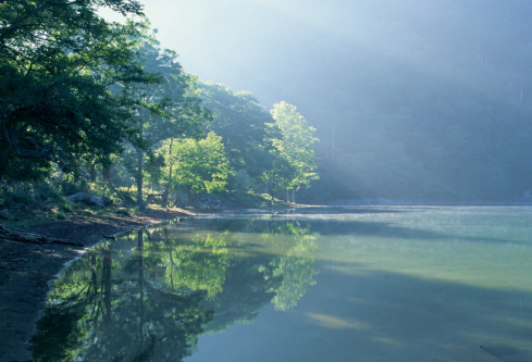 1688160066359751.png image.png