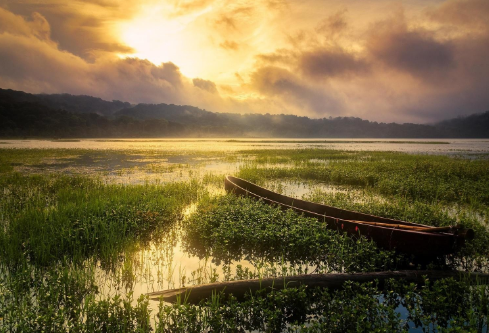 1688160733327258.png image.png