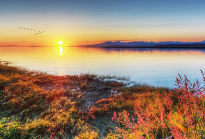 ​曹植洛神赋赏析（曹植写洛神赋的目的）