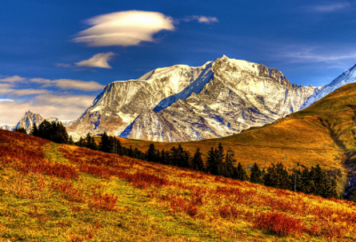 ​关于兵马俑的资料有哪些（关于秦始皇兵马俑的介绍）