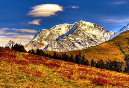 1688162232300606.png image.png