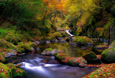 ​关于航天精神的作文800字（传承航天精神演讲稿）