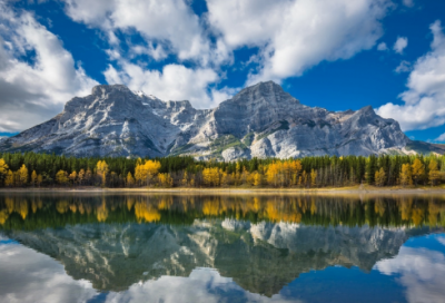 ​水字的来历和演变过程（水字的来源和历史）