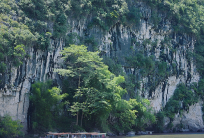 ​神童魏永康去世年仅38岁（魏永康之妻付碧的个人账号发表讣告）