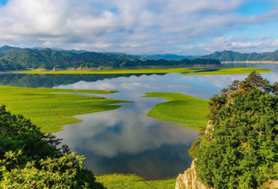 ​植树节创意活动方案（单位植树节活动方案策划书）