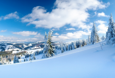 ​关于书籍的格言