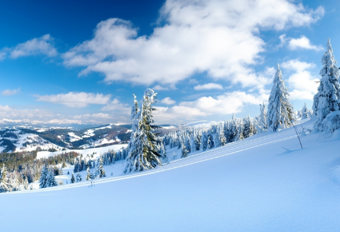 1688665027823511.png image.png